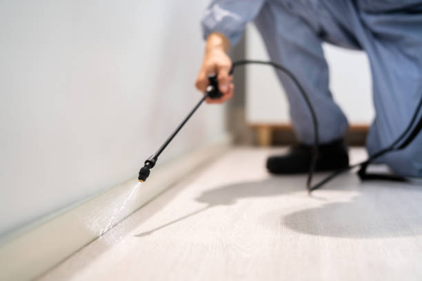 Professional exterminator conducting IPM assessment in Packanack Lake