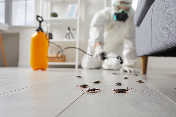 Commercial Rodent Management in Packanack Lake